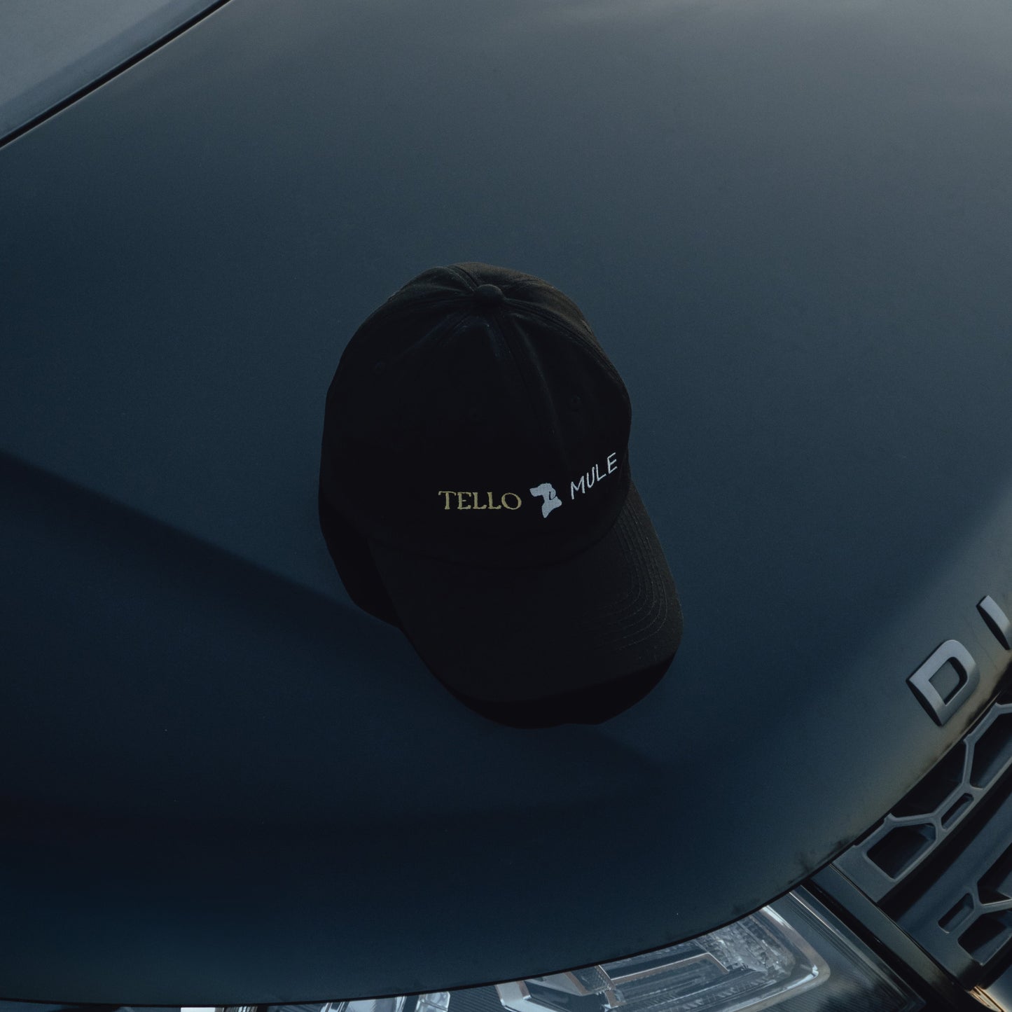 TERRA-FIT CAP